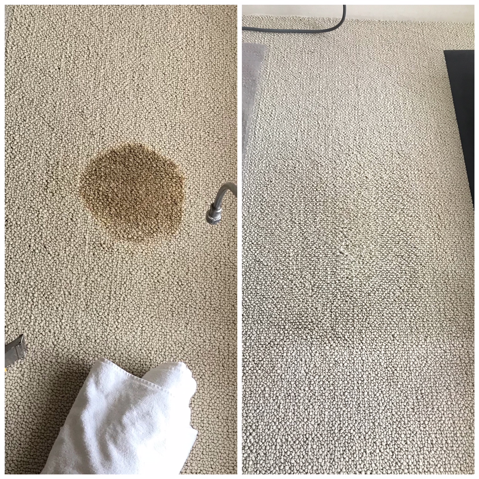pet-urine-removal-carpet-cleaning.jpeg